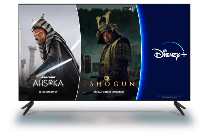 BESTE IPTV NEDERLAND